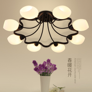 達(dá)爾文燈飾 美式現(xiàn)代簡(jiǎn)約風(fēng)格的完美融合